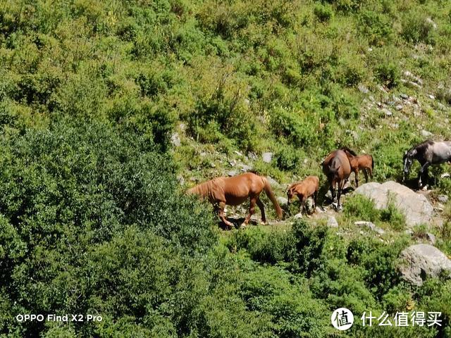 「科技犬游记」灵山古道徒步登顶往返7个多小时 登山意义究竟是啥