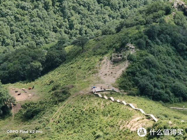 「科技犬游记」灵山古道徒步登顶往返7个多小时 登山意义究竟是啥