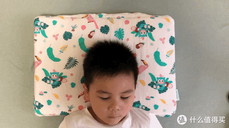 如何为宝贝挑选一只适合的枕头——三款口碑儿童枕深度对比评测