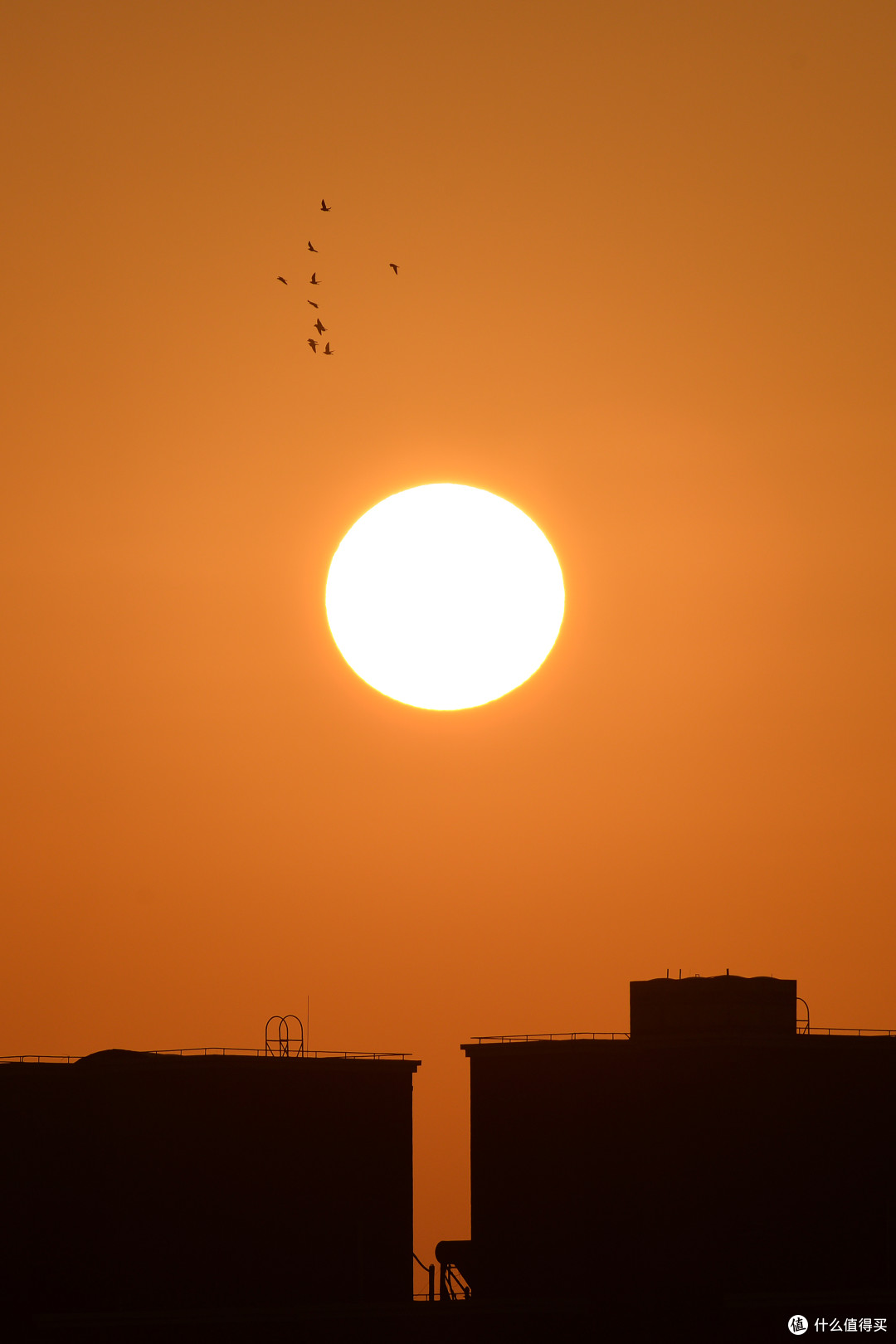 精打细算——摄影爱好者的科学入坑指南，从核心装备到系统搭建