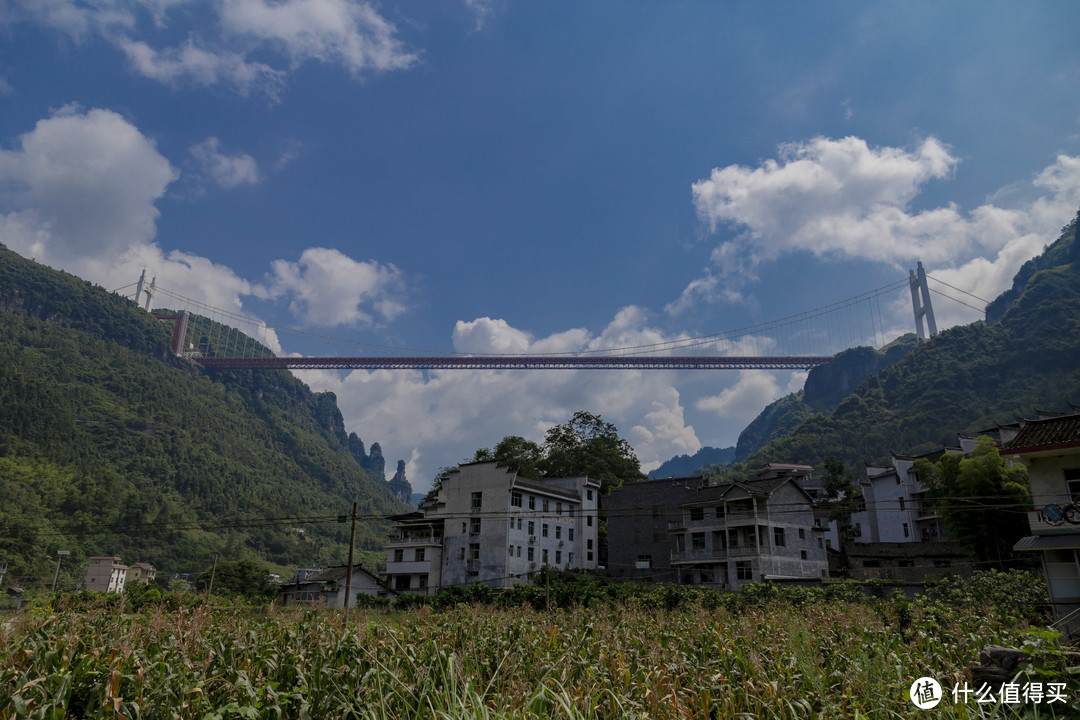 八月单身游湘西贵州  矮寨大桥 梵净山