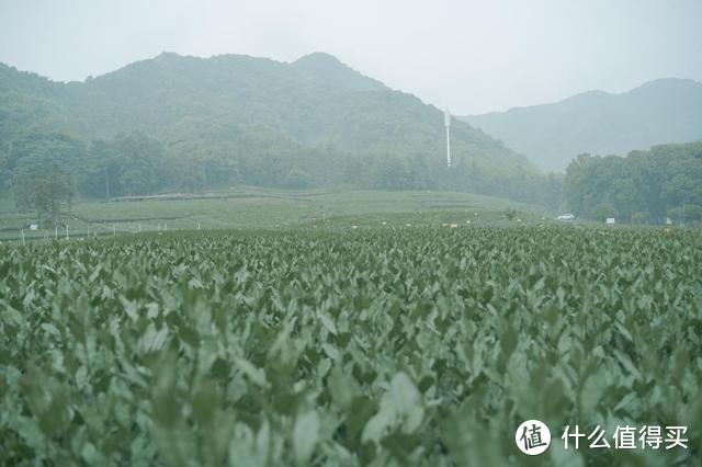 买了新车就要出去玩，体验一把江浙沪地区"包邮"的感觉