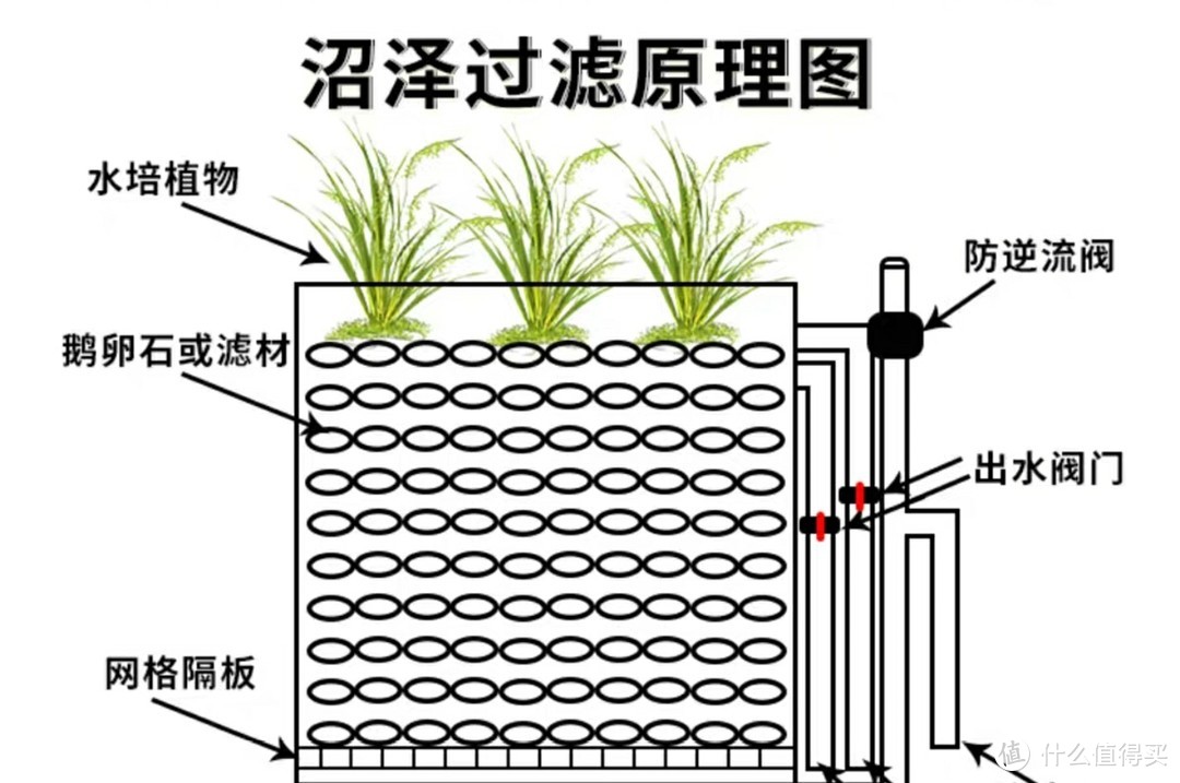 滴滤+沼泽过滤+反气举，一个99块钱的鱼缸所引发的过滤系统的不断升级