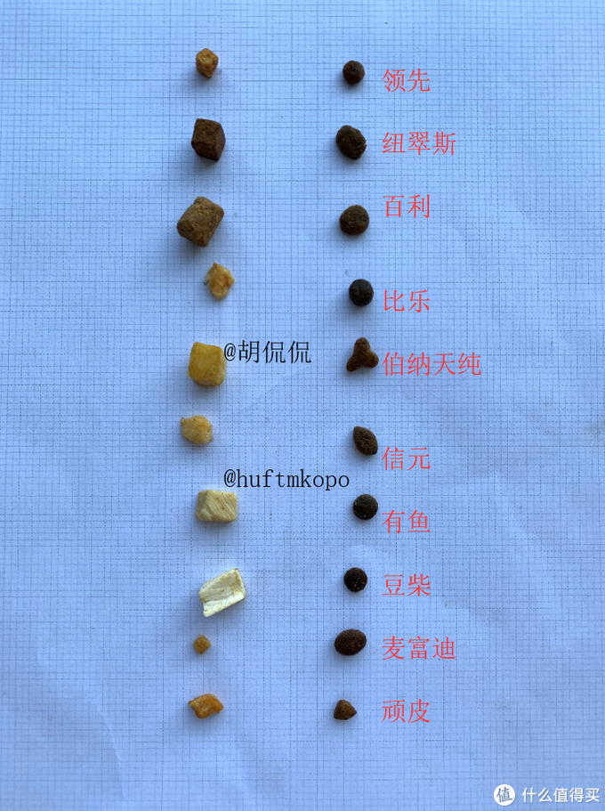 你知道如何选择冻干猫粮吗？