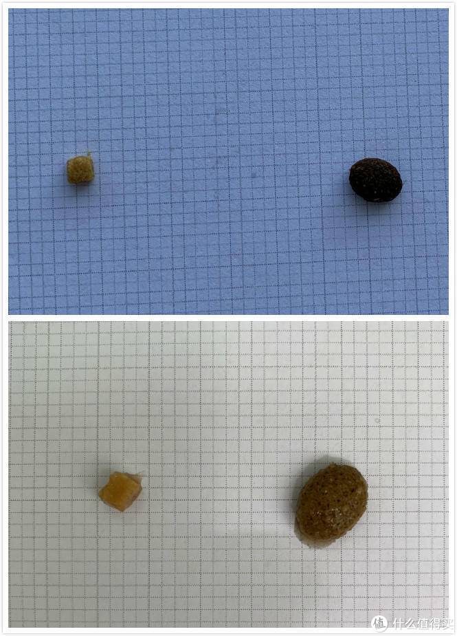 你知道如何选择冻干猫粮吗？