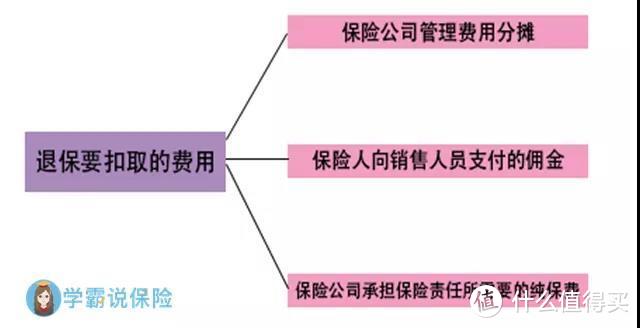 分红险是骗局？搞清楚这四个问题，再下手也不迟