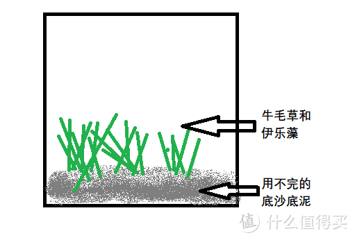 如何打造一个案头原生缸：除了时间其他都不值钱的20方原生草缸