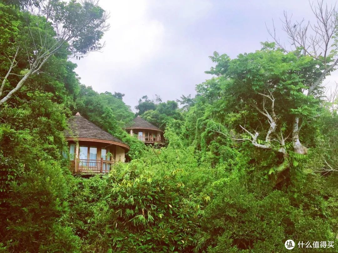 度假村的建筑风格独具 热带风情采用进口马来西亚红木及天然材料构建质朴中透出尊贵，野趣中尽显奢华