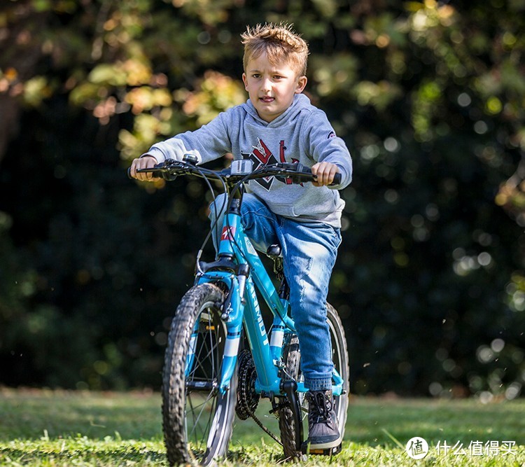 全球6一12岁儿童辐轮王土拨鼠儿童自行车十大名牌自行车排行榜