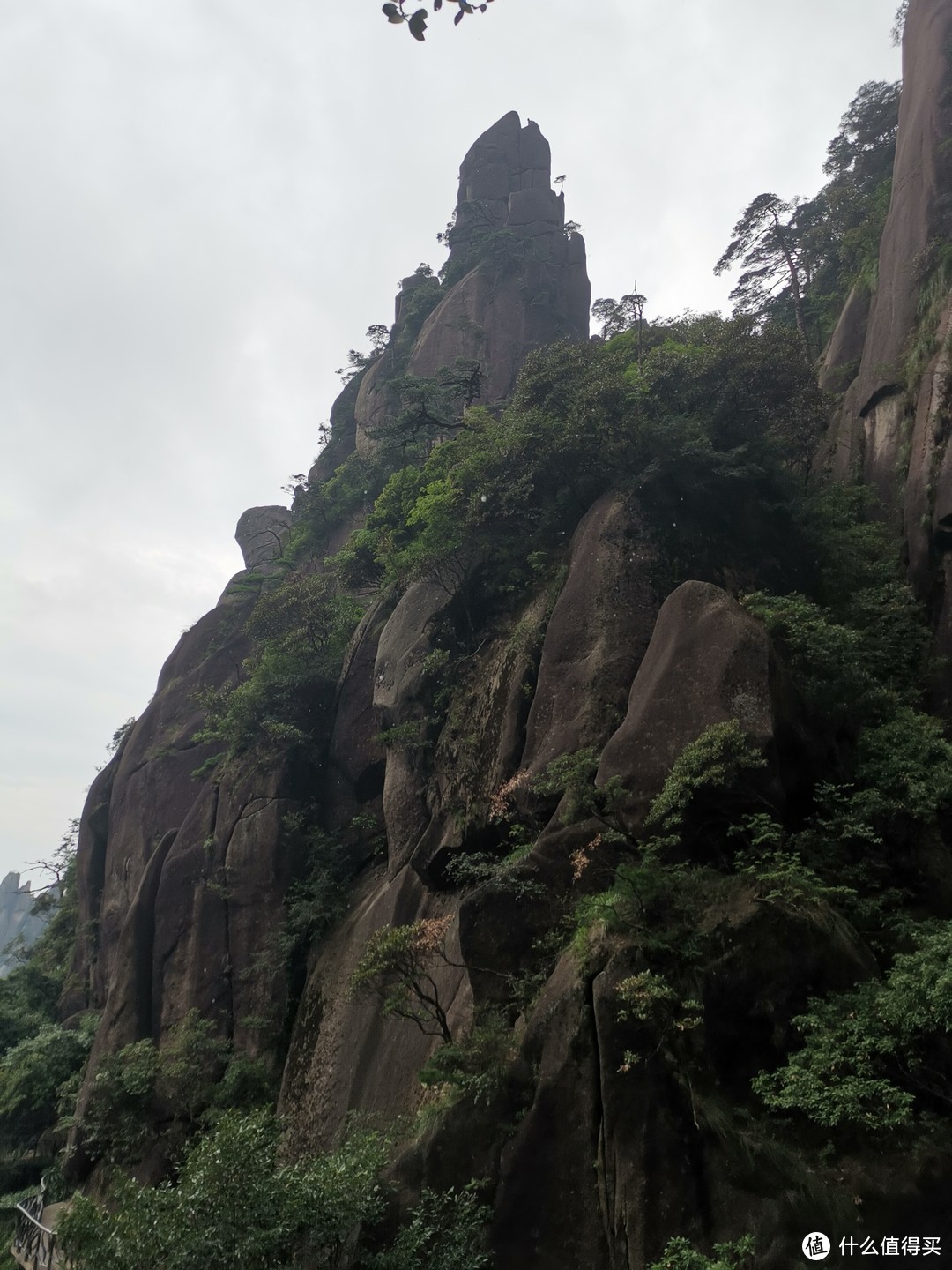 说走就走的旅行--带孩子游玩三清山（魔都出发）