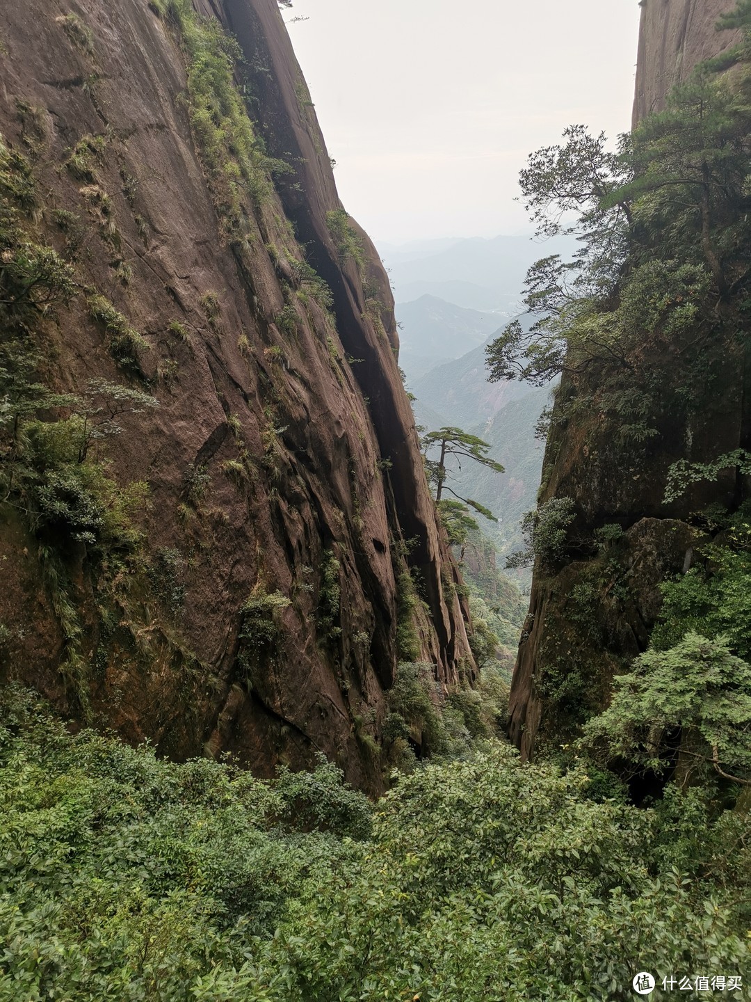 说走就走的旅行--带孩子游玩三清山（魔都出发）