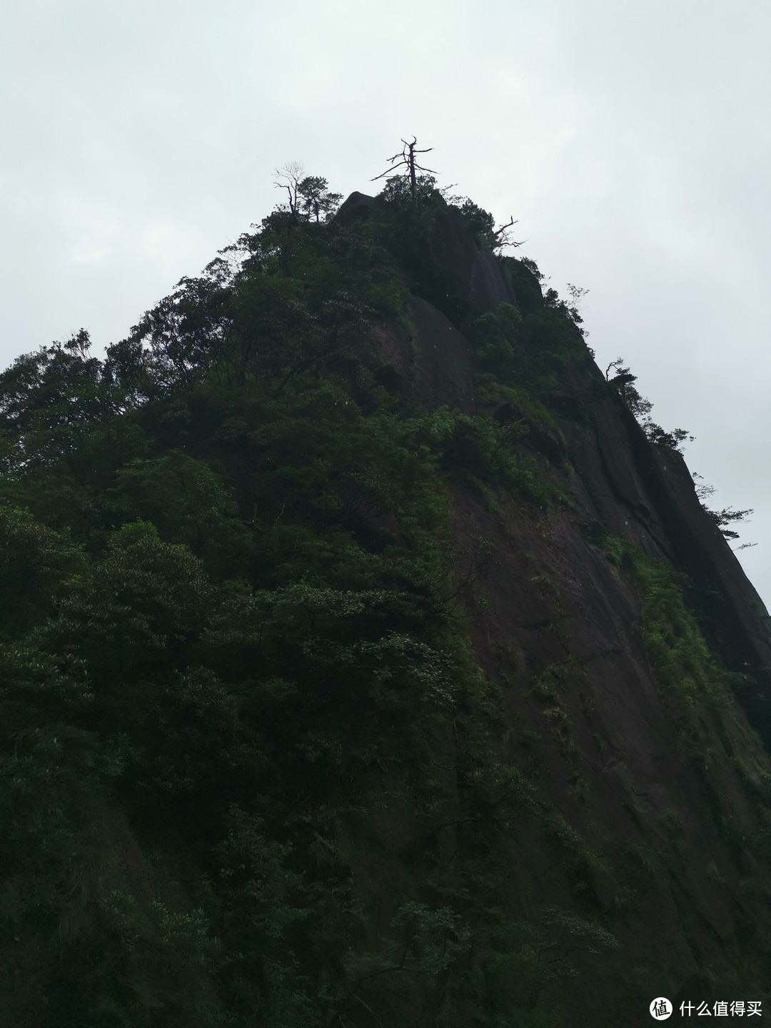 说走就走的旅行--带孩子游玩三清山（魔都出发）