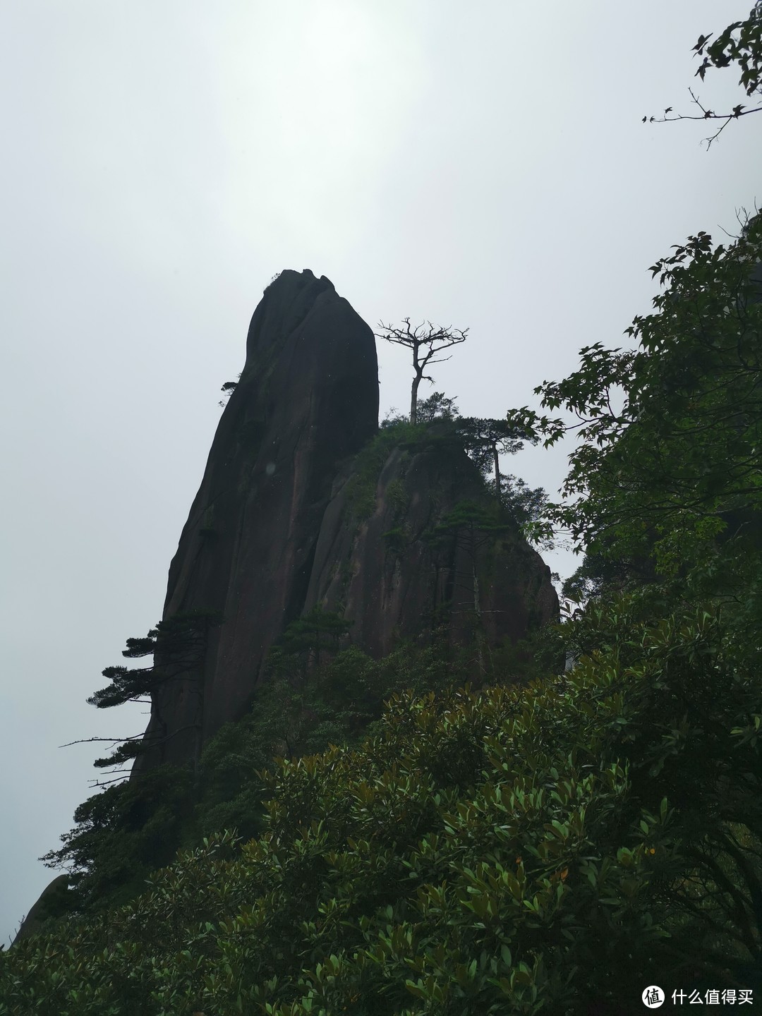 说走就走的旅行--带孩子游玩三清山（魔都出发）