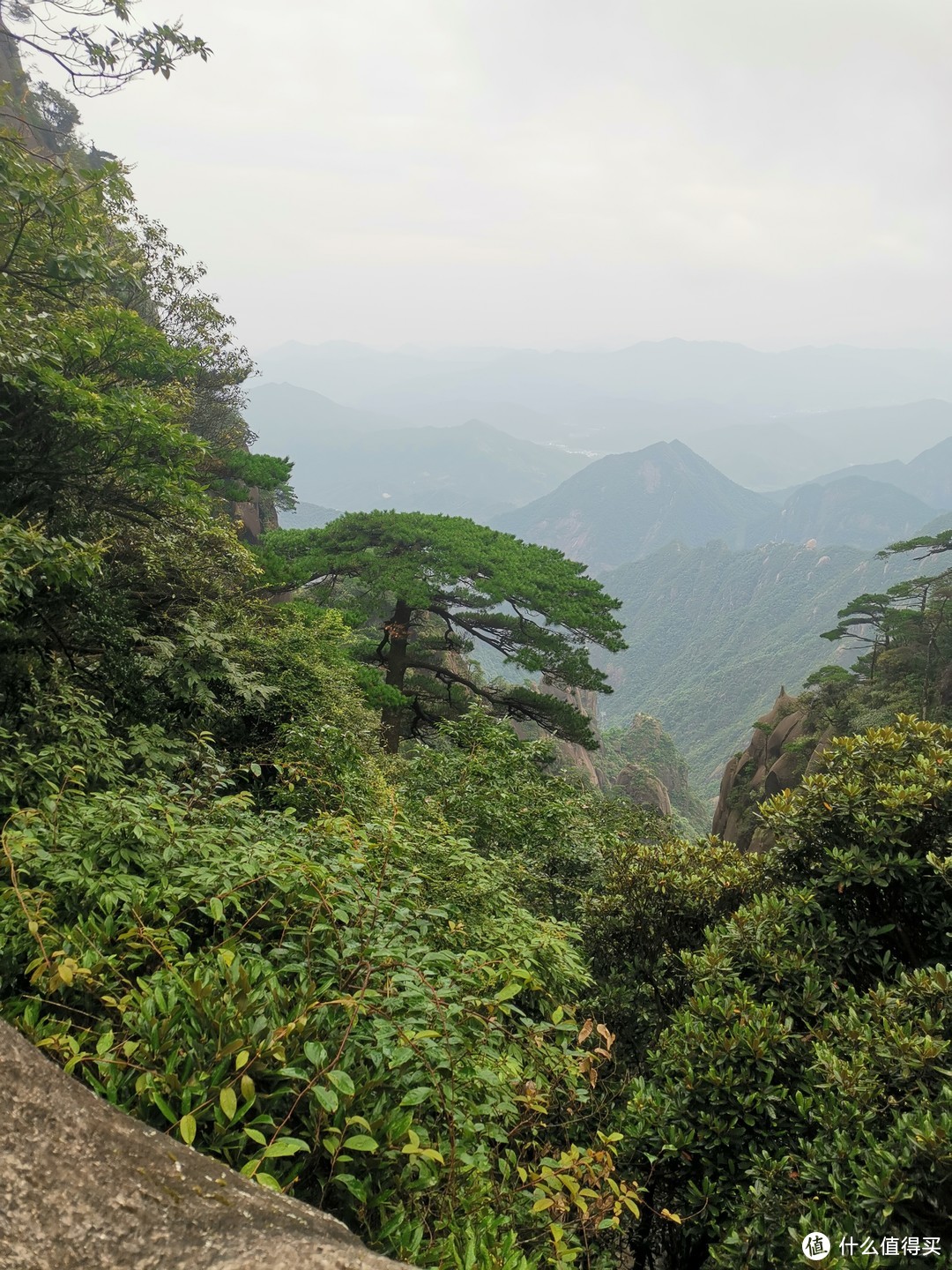 说走就走的旅行--带孩子游玩三清山（魔都出发）