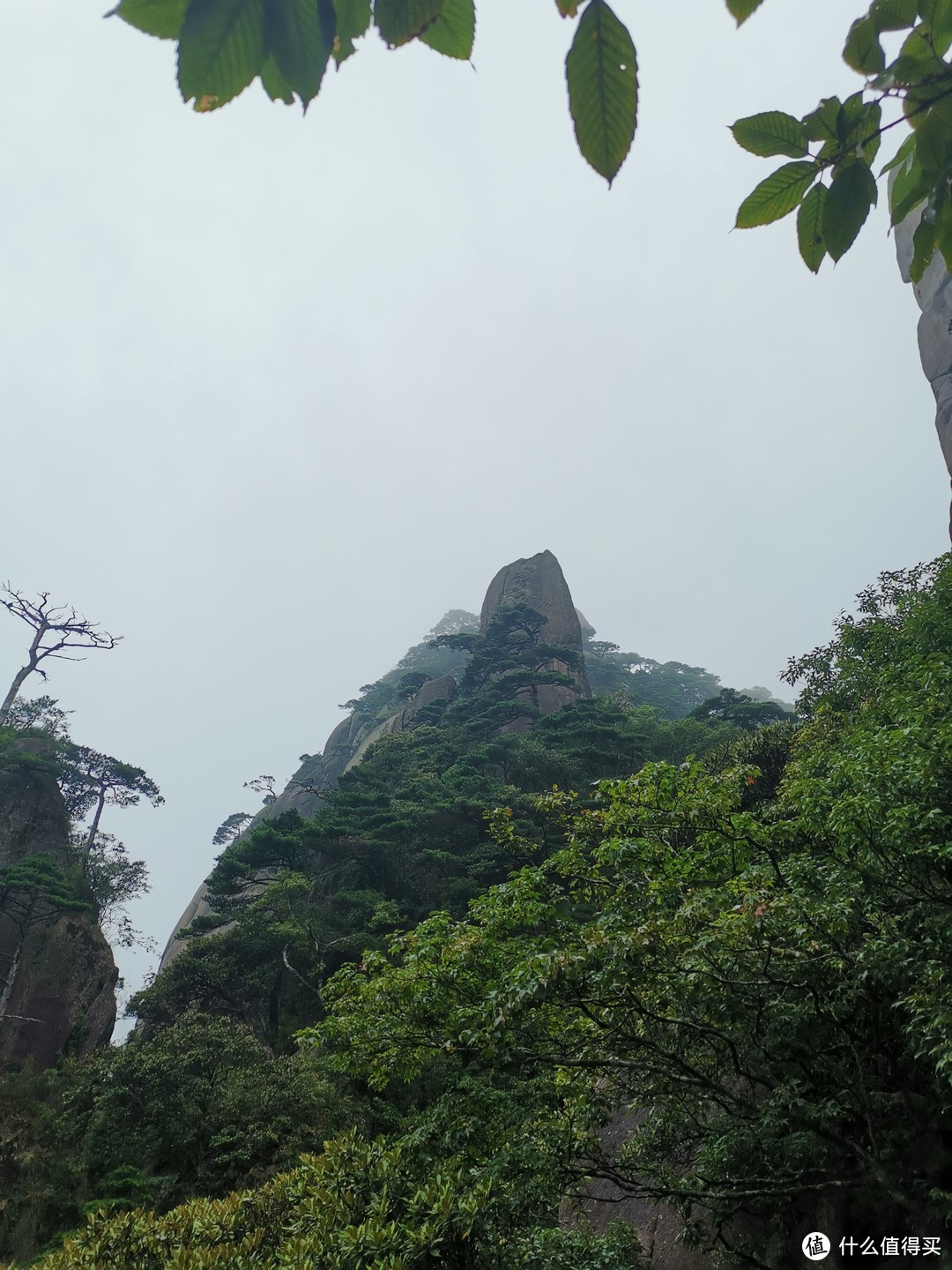 说走就走的旅行--带孩子游玩三清山（魔都出发）