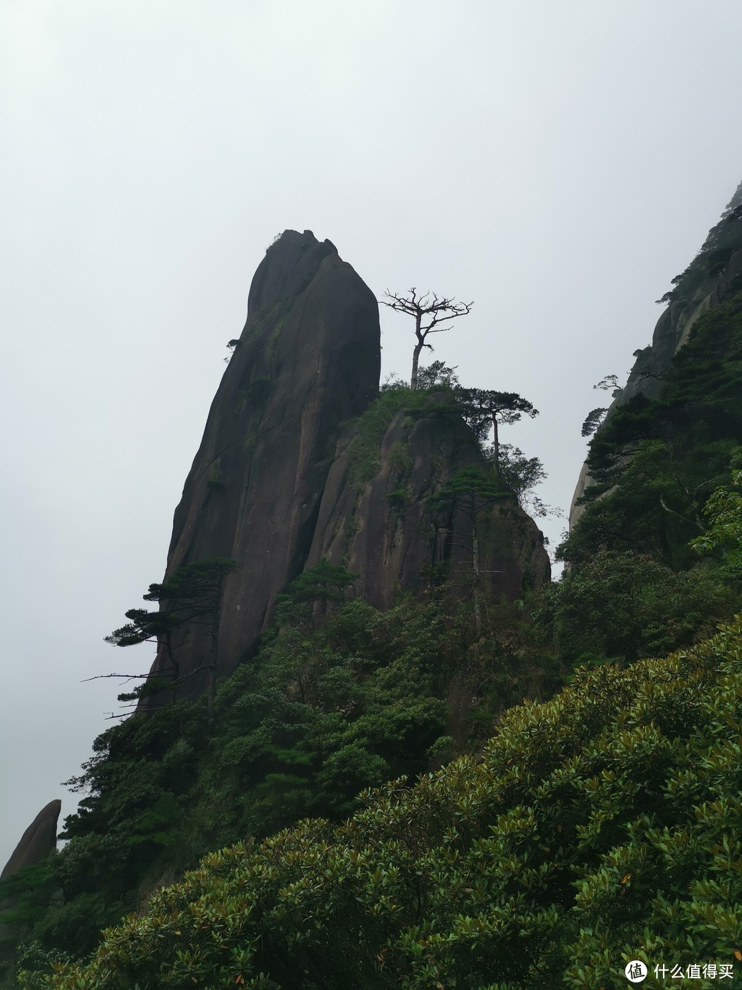 说走就走的旅行--带孩子游玩三清山（魔都出发）