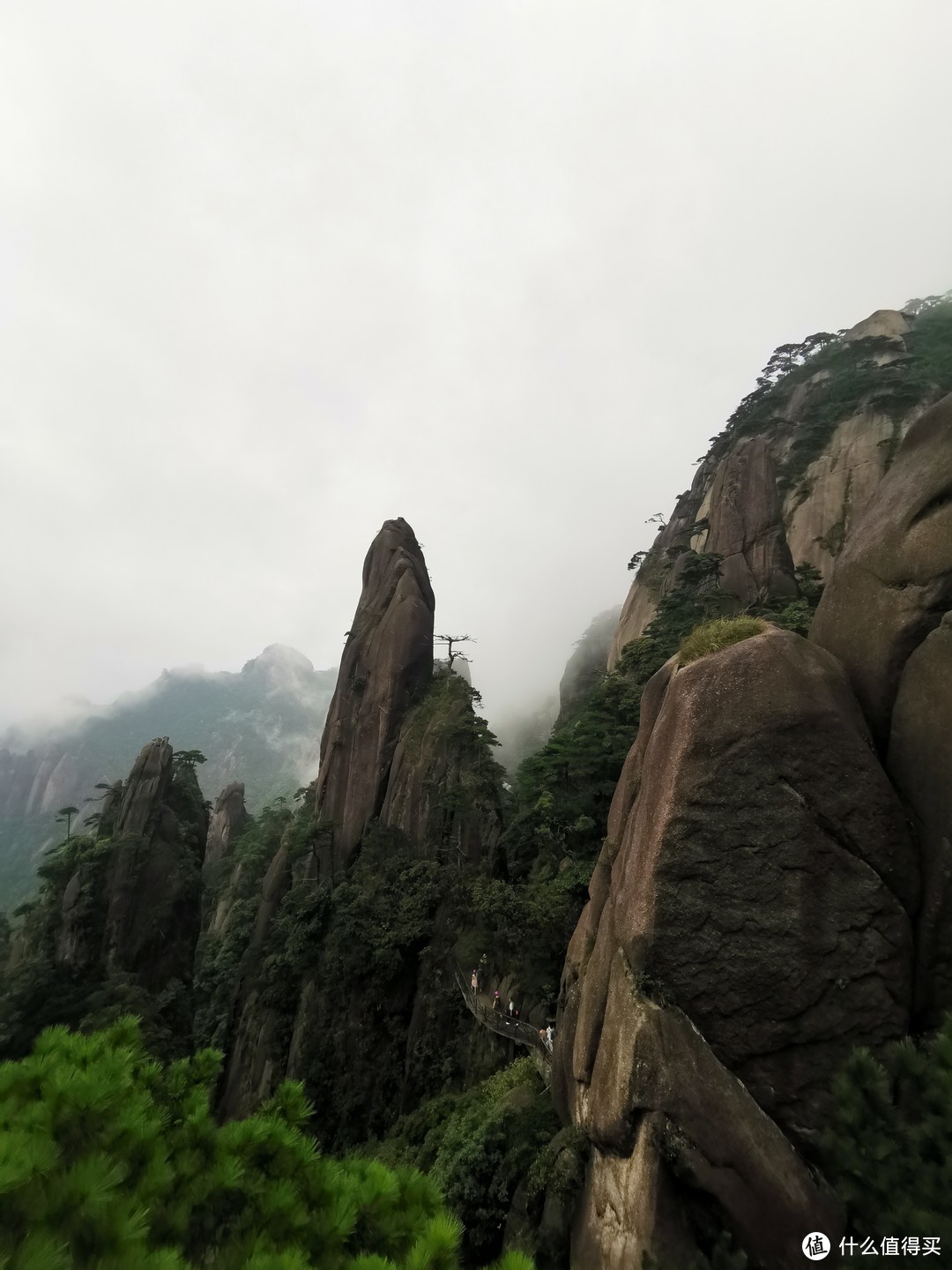 说走就走的旅行--带孩子游玩三清山（魔都出发）