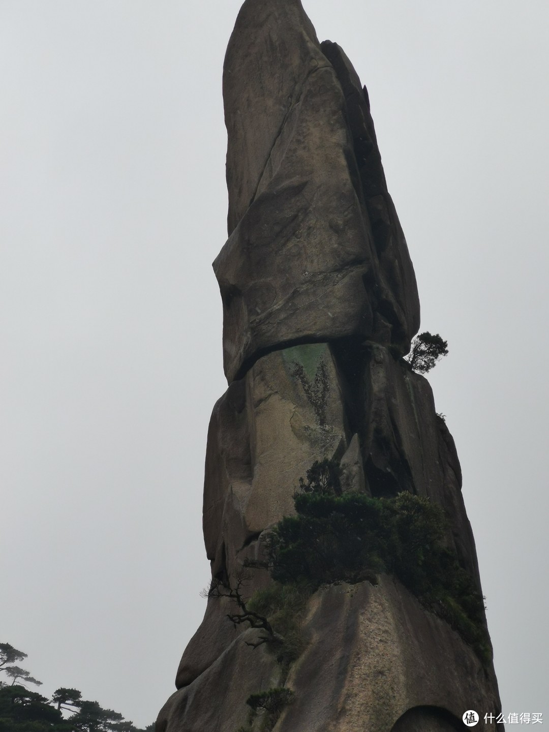 说走就走的旅行--带孩子游玩三清山（魔都出发）