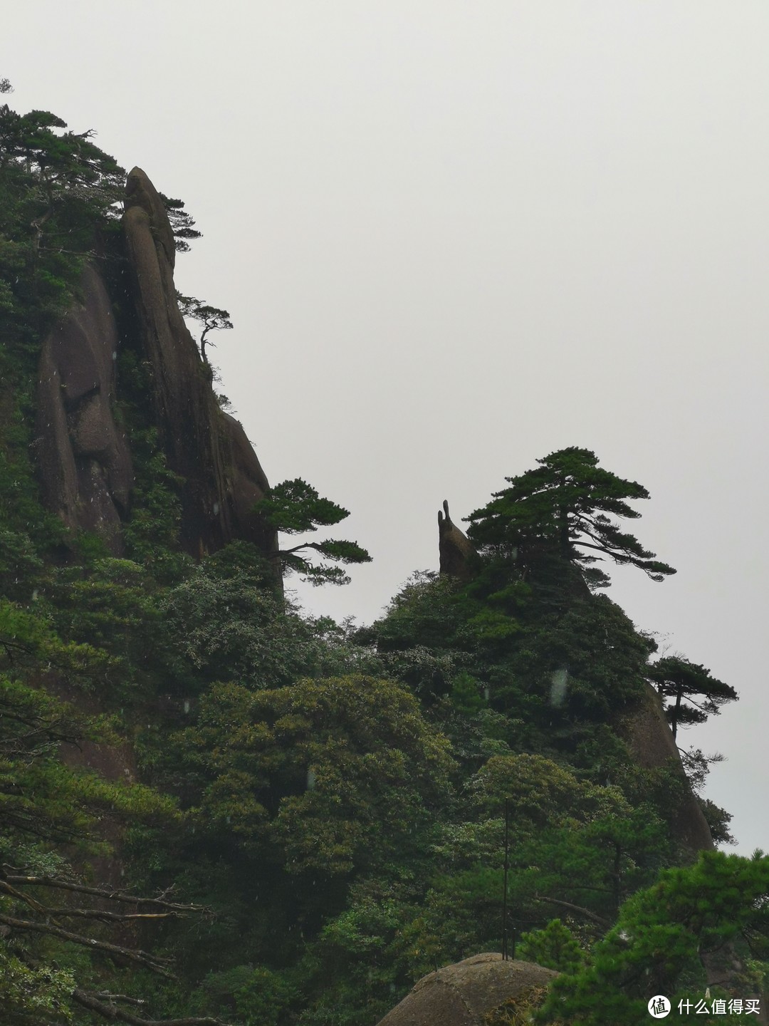 说走就走的旅行--带孩子游玩三清山（魔都出发）