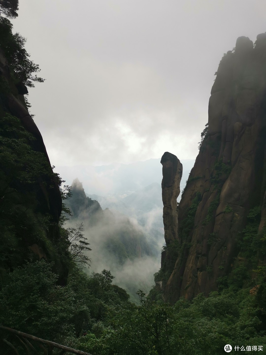 说走就走的旅行--带孩子游玩三清山（魔都出发）