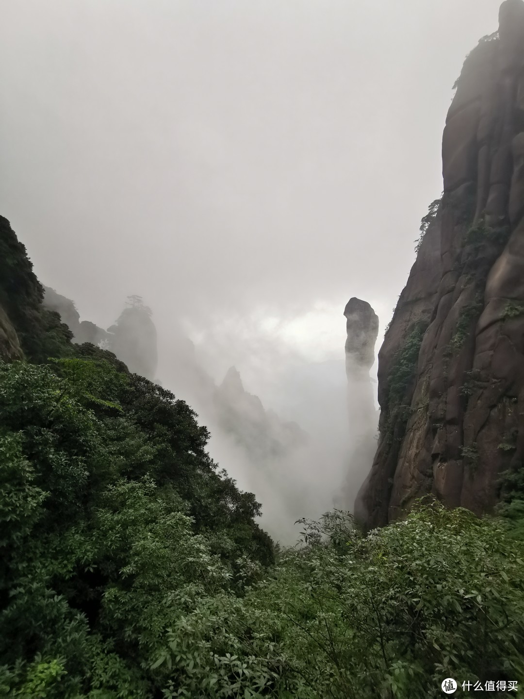 说走就走的旅行--带孩子游玩三清山（魔都出发）