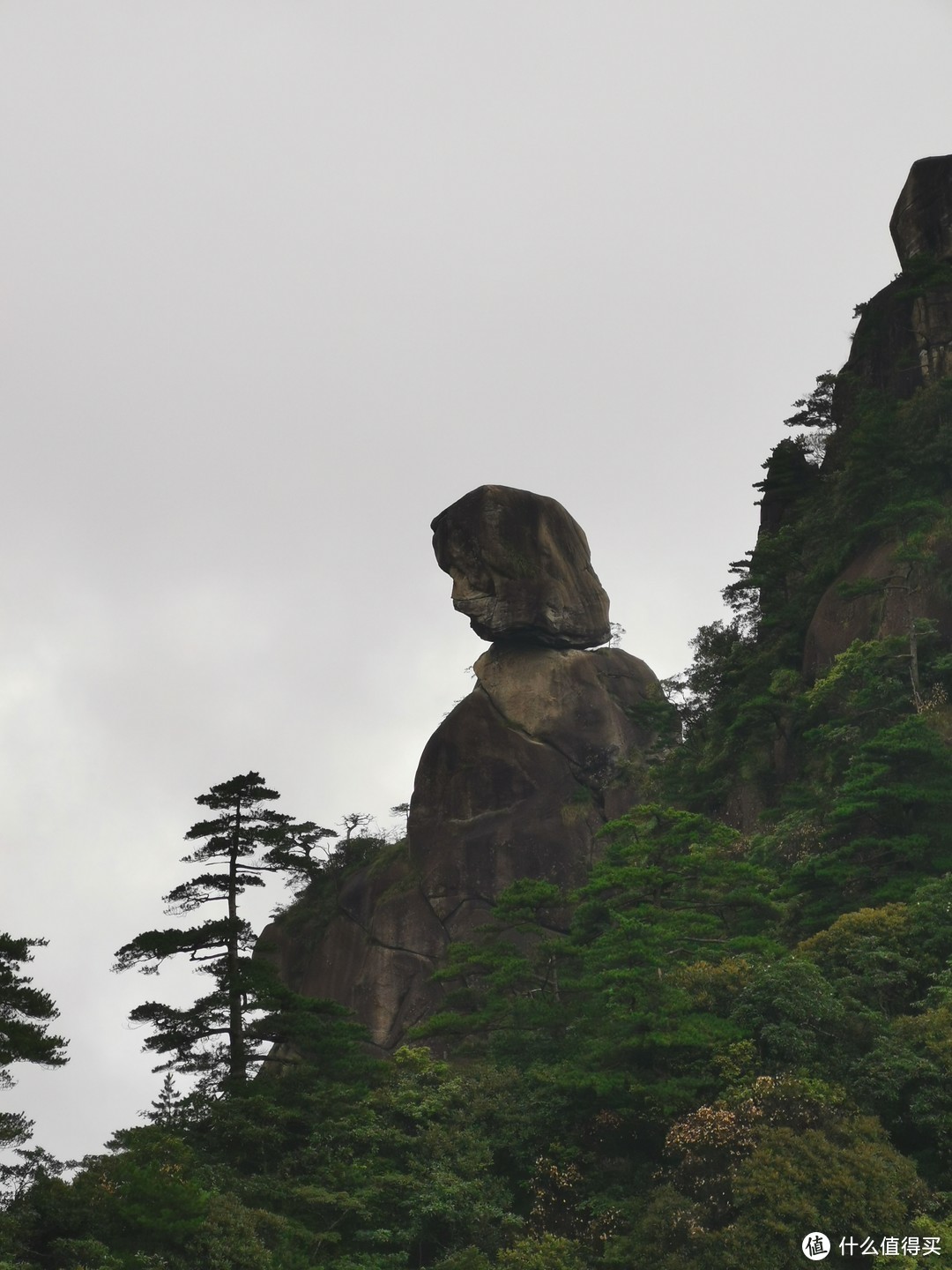 说走就走的旅行--带孩子游玩三清山（魔都出发）