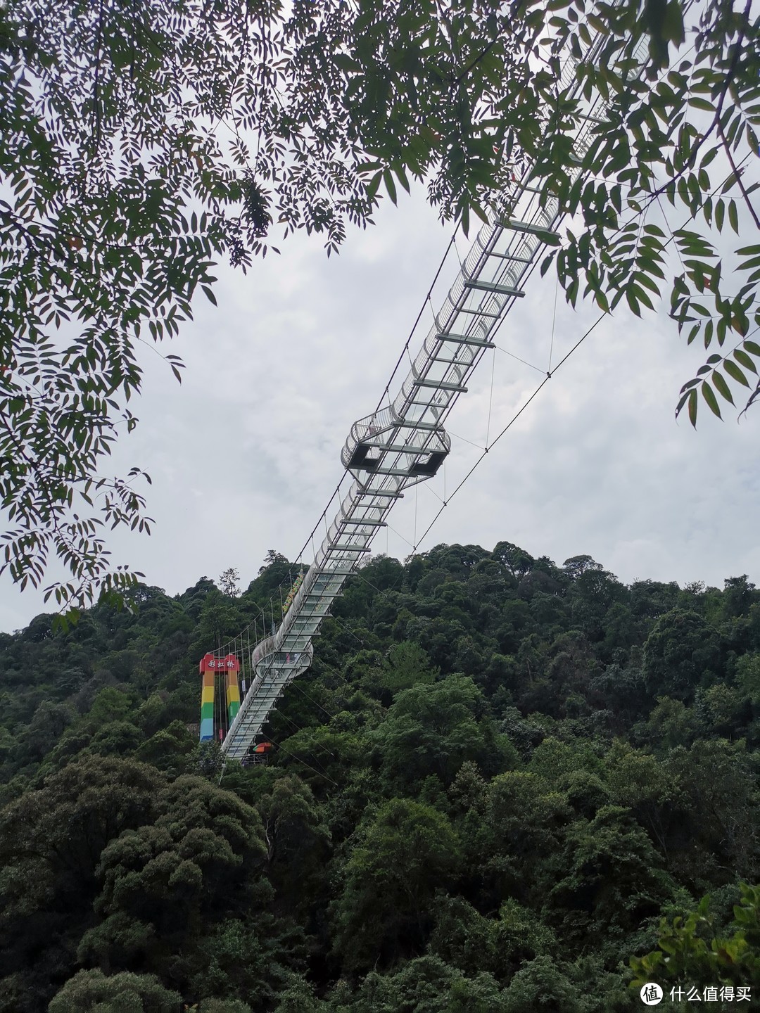 说走就走的旅行--带孩子游玩三清山（魔都出发）