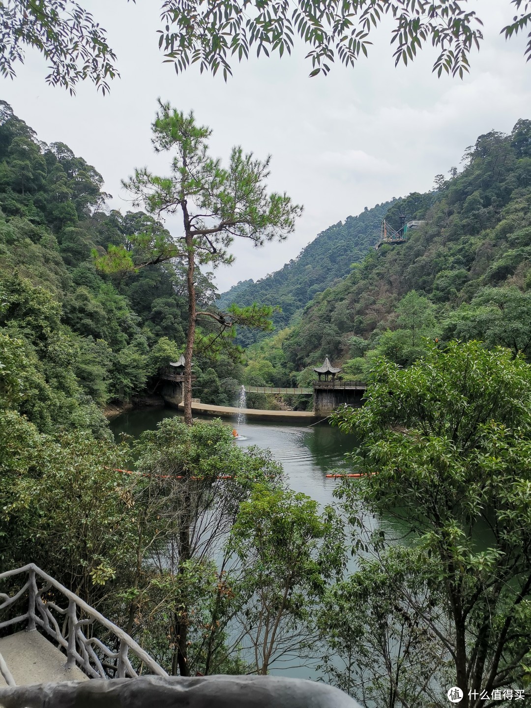 说走就走的旅行--带孩子游玩三清山（魔都出发）