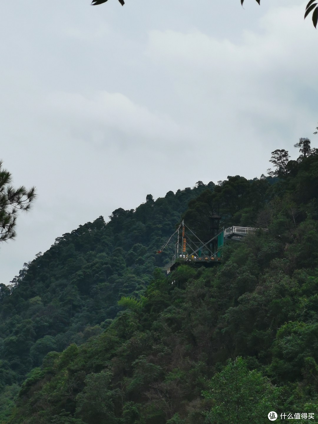 说走就走的旅行--带孩子游玩三清山（魔都出发）