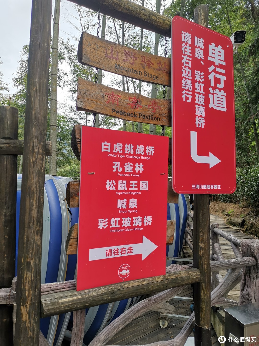 说走就走的旅行--带孩子游玩三清山（魔都出发）