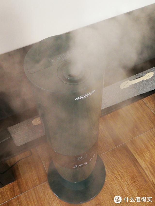 加湿器+空气净化器=舒乐氏蓝岭雾加湿器？