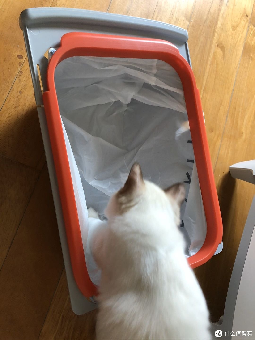 猫厕所底部有个抽屉，里面有个放便便的盒子，我们套上袋子