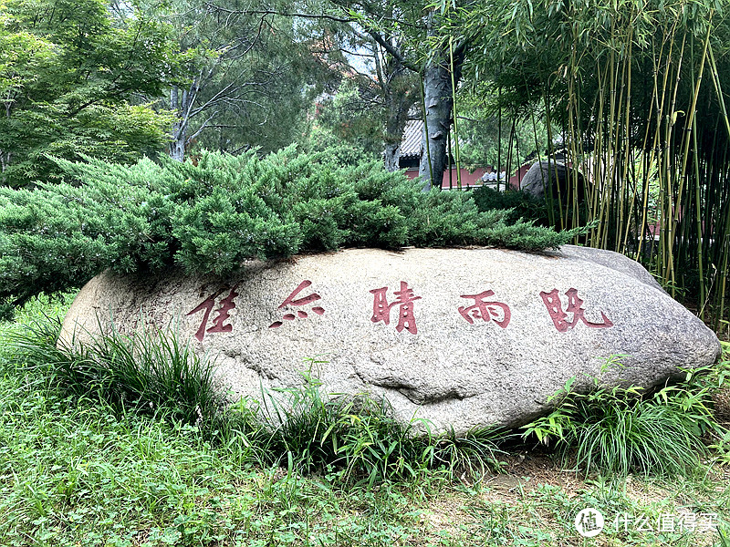 科莱威高速初体验，AND岱庙一游