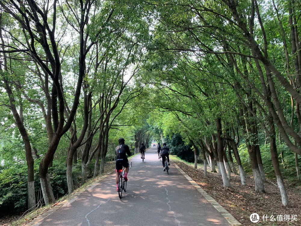 柳河河堤公路