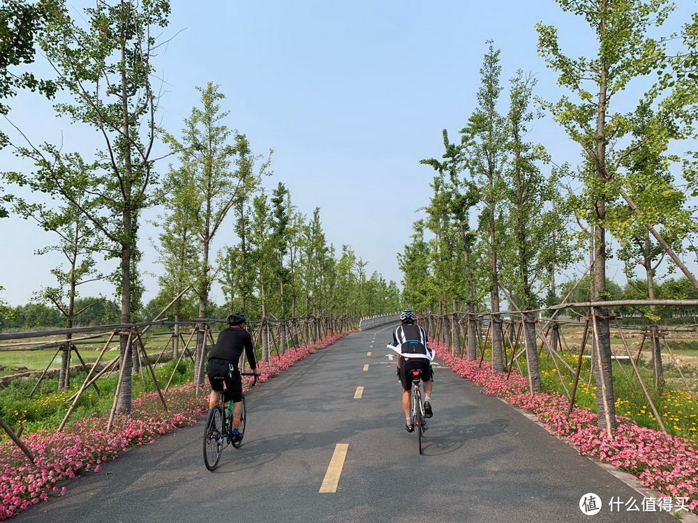 大莲湖公园骑行环境非常好