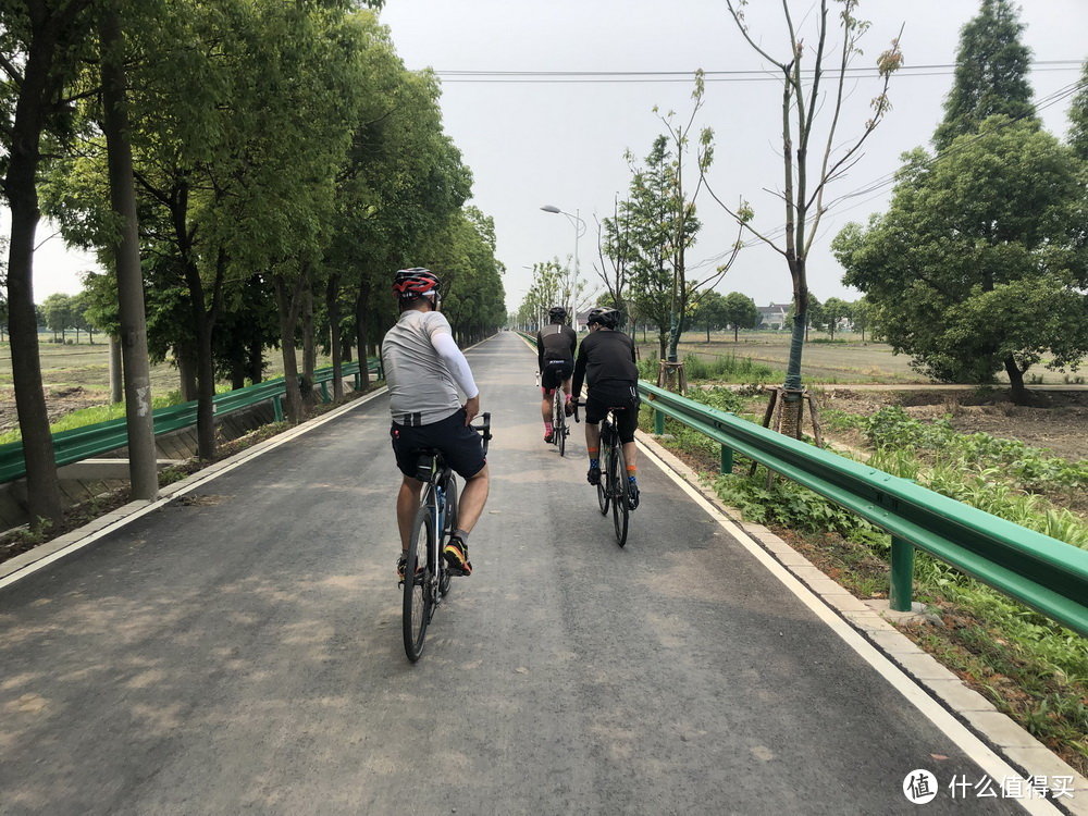 骑车下乡去！上海3条乡村单日骑行线路推荐
