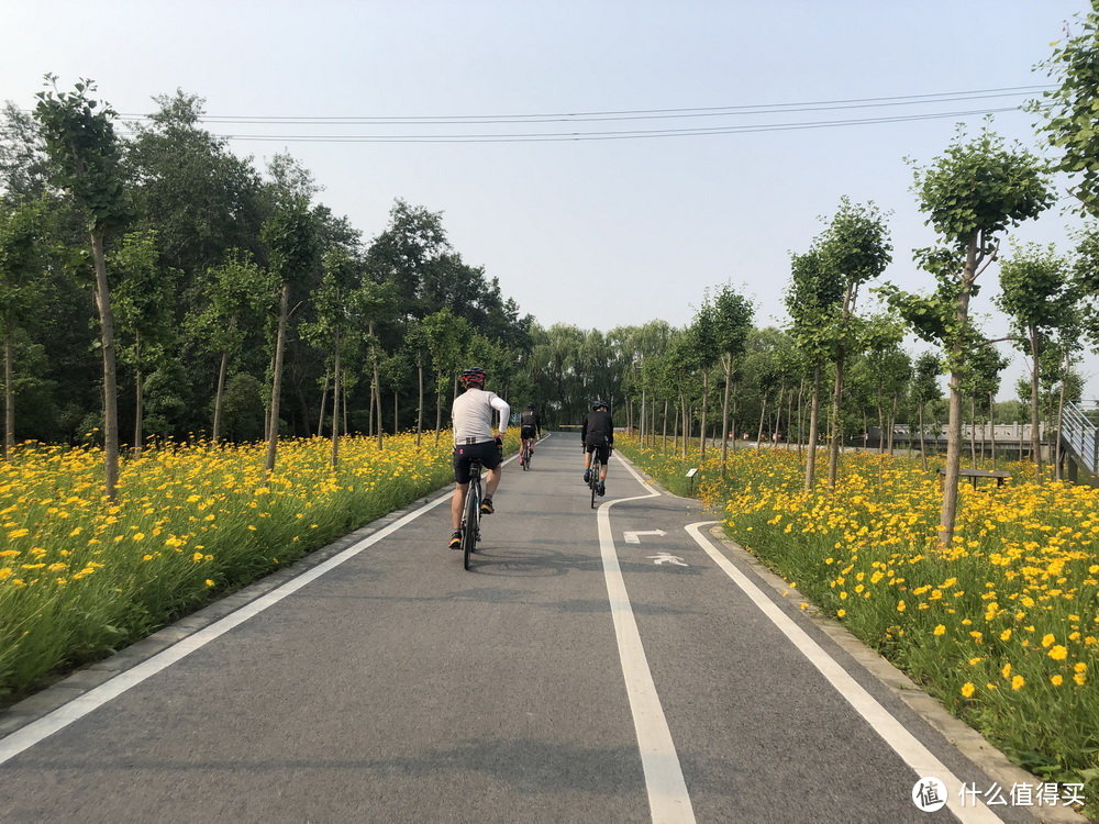 骑车下乡去！上海3条乡村单日骑行线路推荐