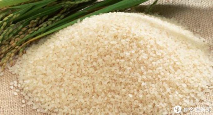 大米怎么画教程 5f4307c53ba0e2944.jpg_e680.jpg