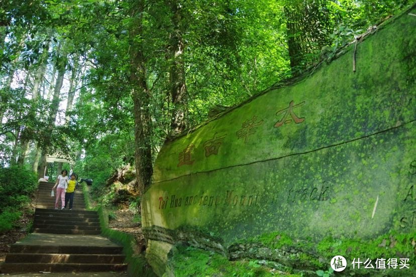 景区的一段太华古道，景区真不小