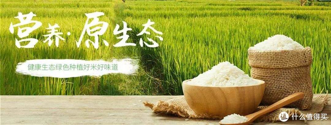 值无不言290期：高端饮用水真的更优质吗？7个最易误解的食品安全常识，云无心为你在线解答