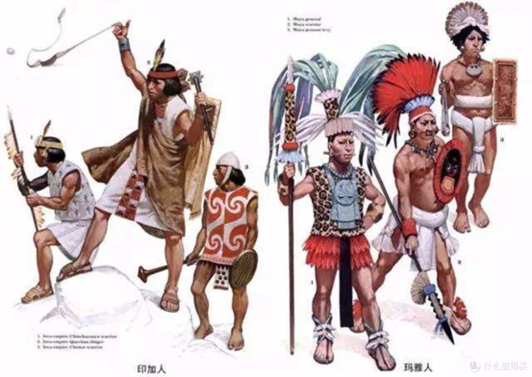 实木天坑：真假黑胡桃！4种胡桃木家具辨析！北美南美非洲东南亚，红胡桃金丝胡桃，到底哪种好？为啥？