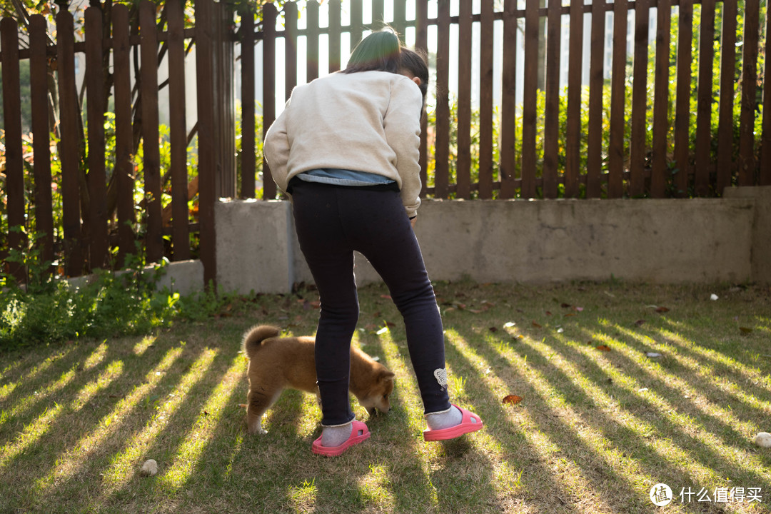 ↑每天早上起床都要和我女儿一起玩