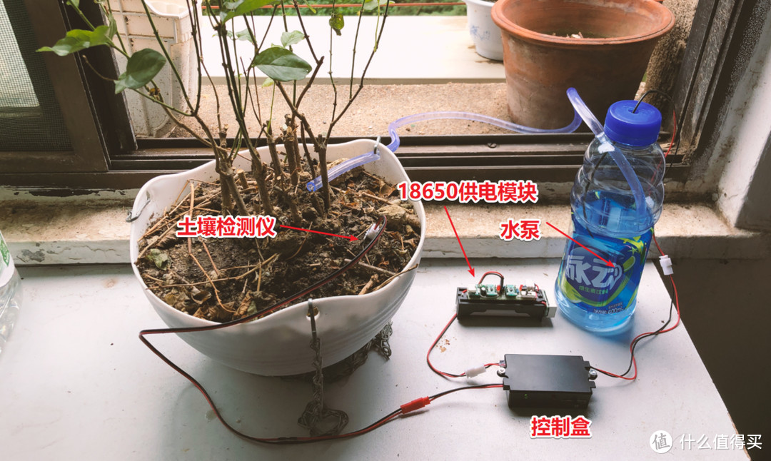 3种自动浇花方案 DIY、解放双手托管你的花花草草