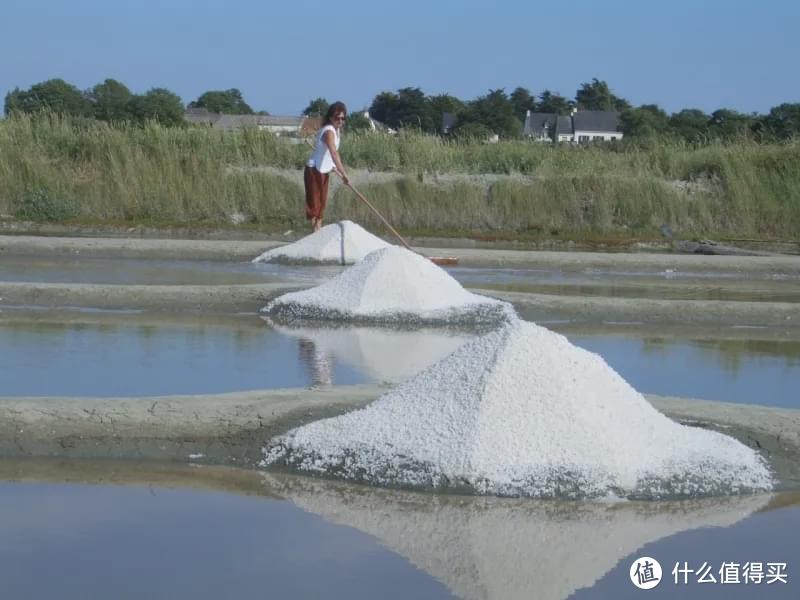 好酒：梅子酒里加点盐，是什么骚操作？