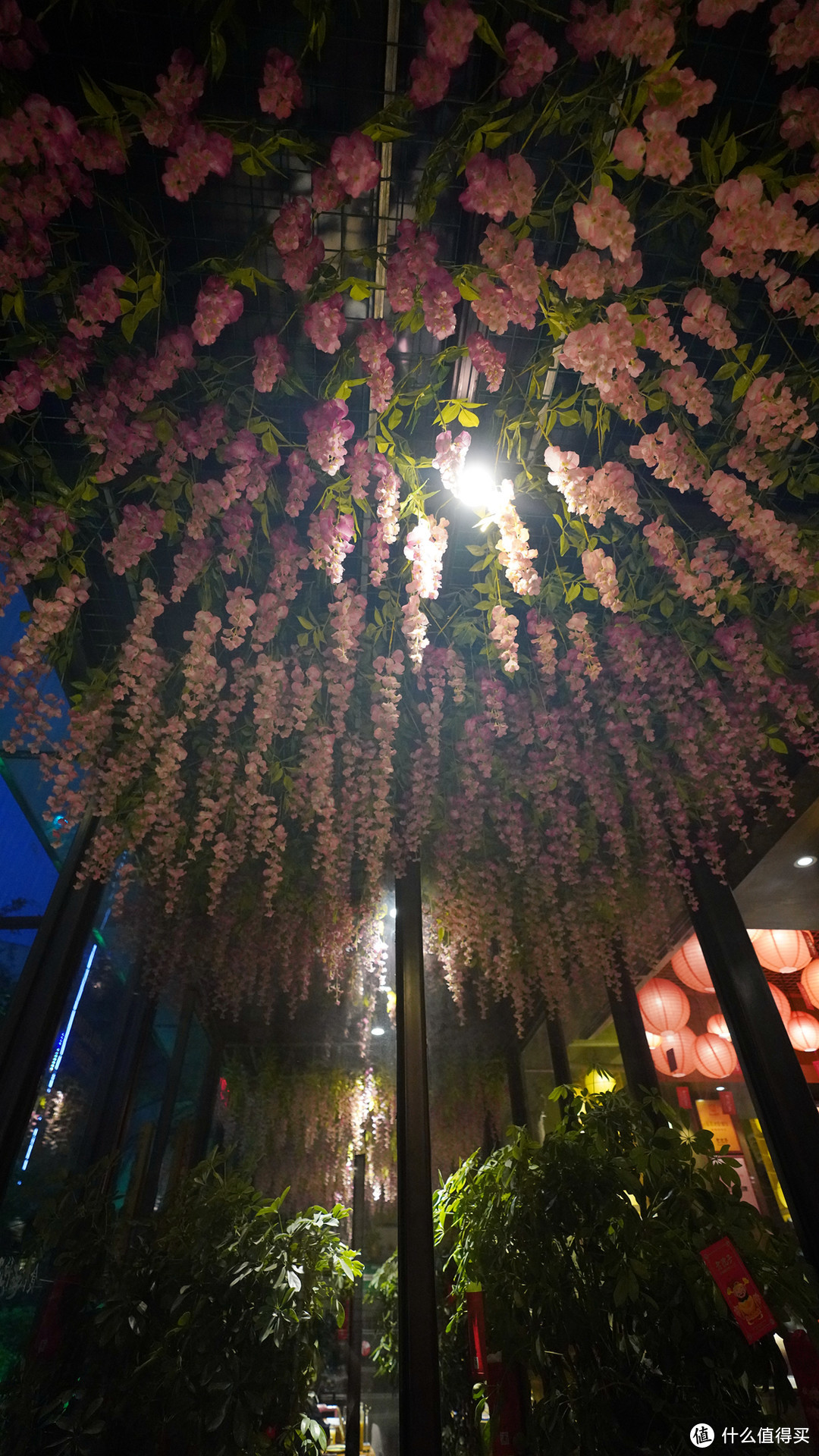 高新区的宝藏餐厅：食欲老院子