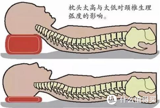 夜夜失眠，挑枕头挑到眼花？教你如何正确选择合适的枕头！