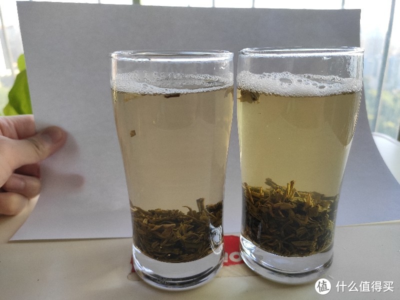 本是同根相煎何急——京华茉莉花茶10号VS16号