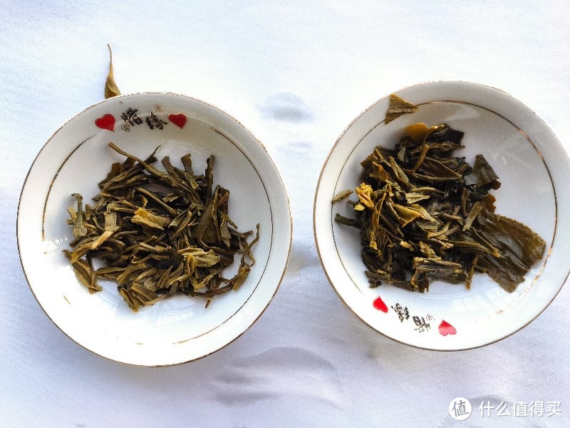 本是同根相煎何急——京华茉莉花茶10号VS16号