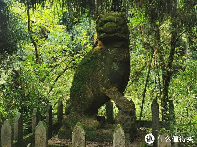 这个离成都仅2小时车程的景区，盛夏只有20多度，人均消费不足300