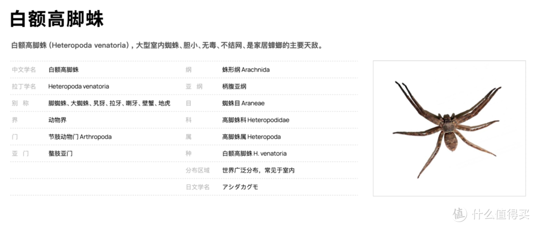 1000 只蟑螂用命告诉你，哪种灭蟑方法最有效 | 先看评测